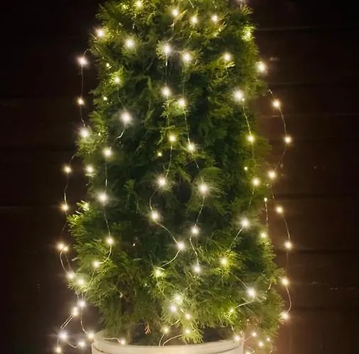 Bed & Breakfast Karczma Lesniczanka